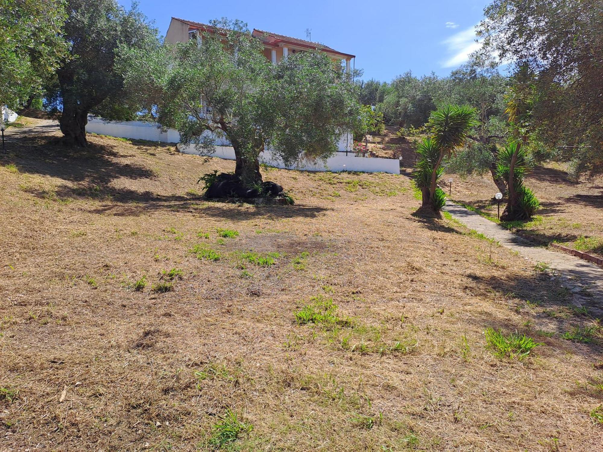 Evridiki Apartments Mesongi Luaran gambar